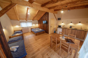 Гостиница Apartment Ve Mlýně  Теплице Над Метуйи